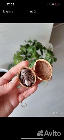 Мишка для Алексея