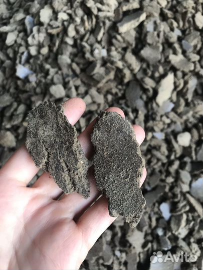 Жмых подсолнечный ГОСТ