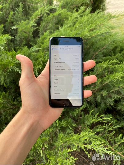 iPhone 7 256GB рст идеал