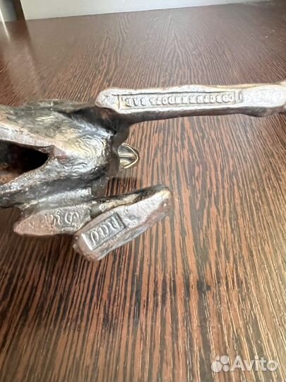 Собака поинтер Касли 1905 г