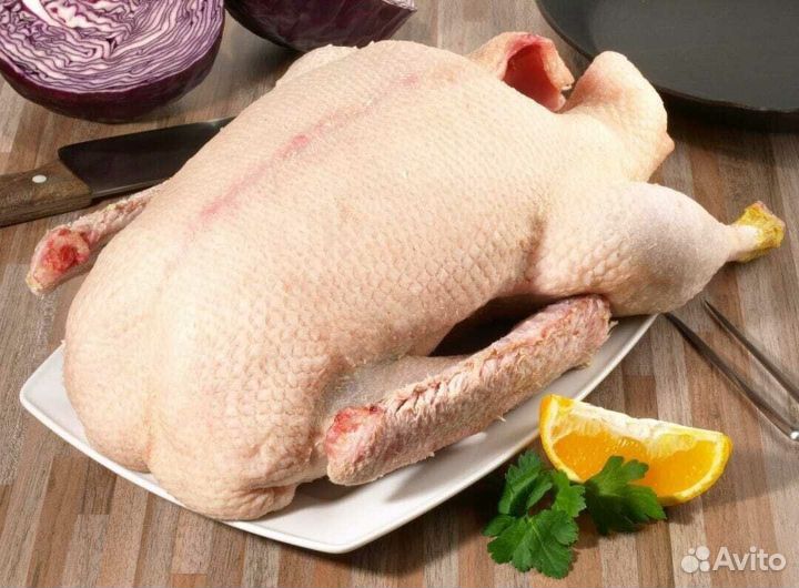 Утка домашняя мясо