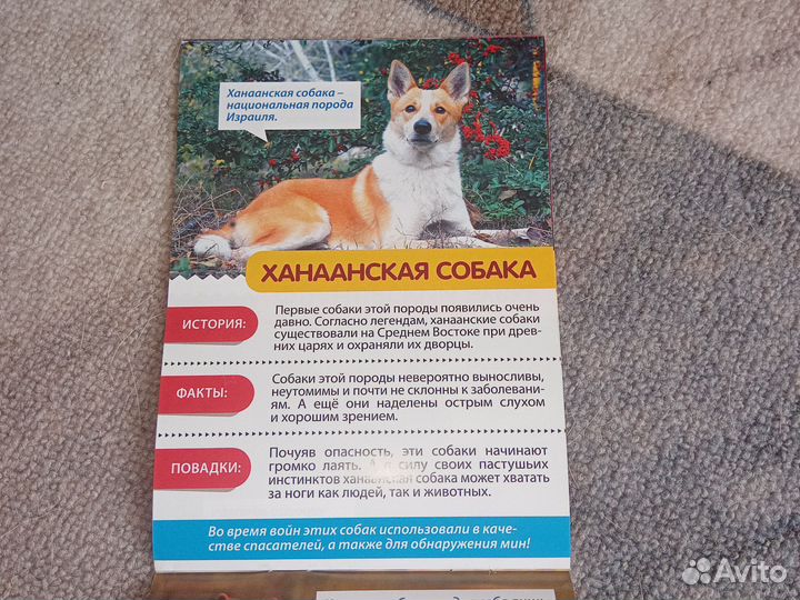 Мини-энциклопедии