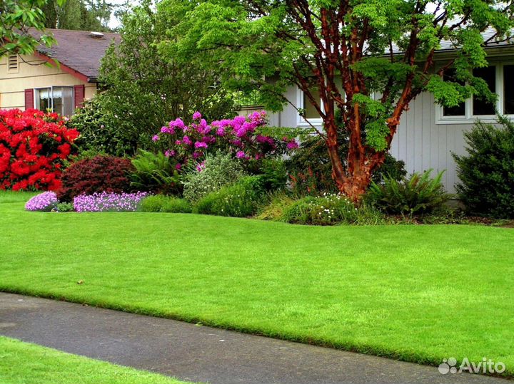 Укладка и продажа газона