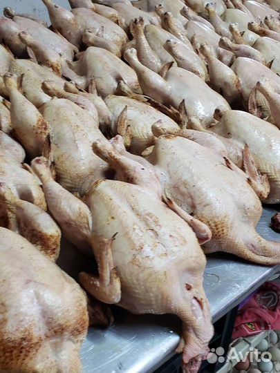 Мясо бройлера