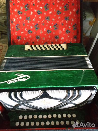 Шуйская гармонь чайка