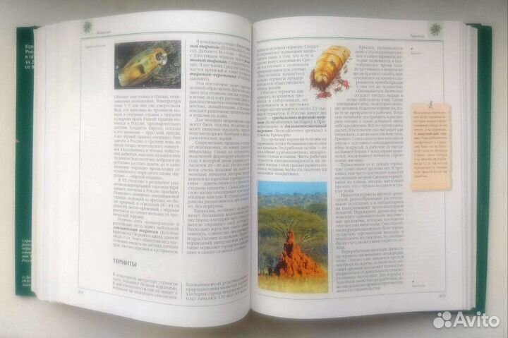 Биология Аванта