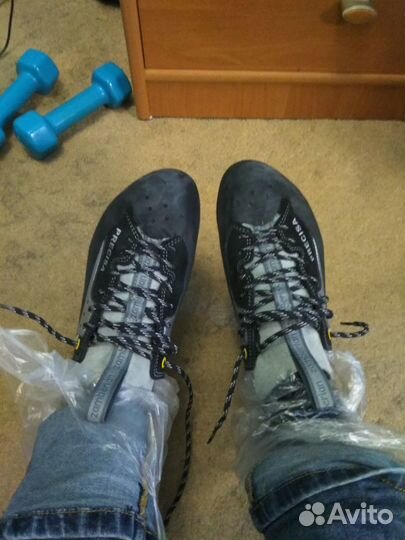 Скальные туфли