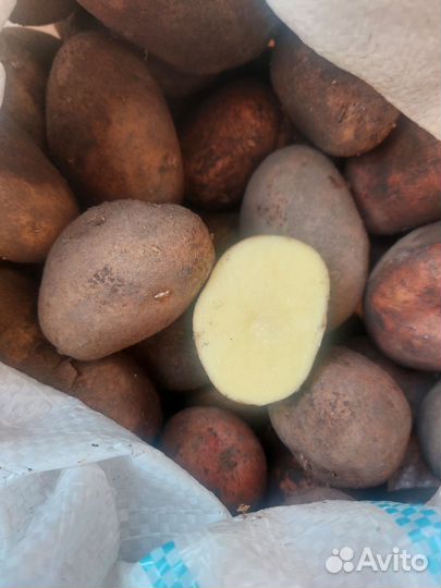 Продам картофель домашний