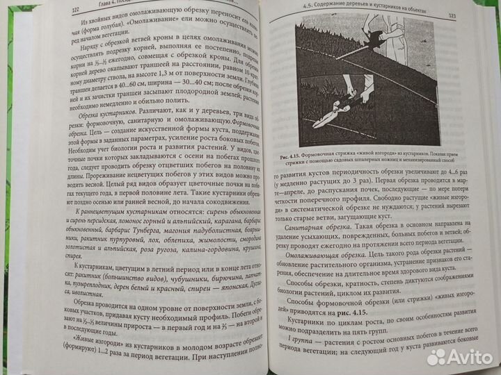 Cтроительство объектов городского озеленения