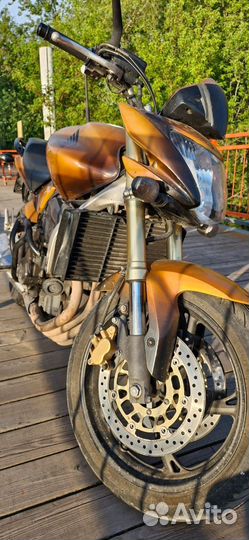 Honda cb 600 hornet