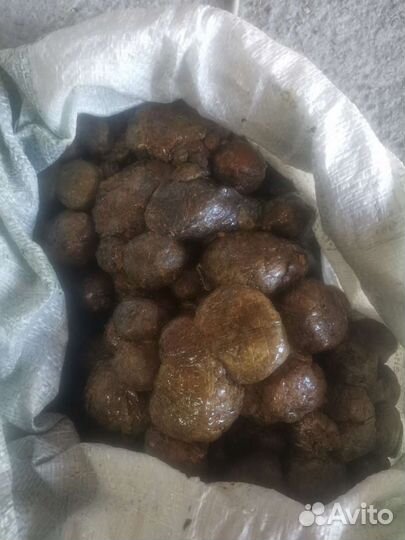 Продам прополис