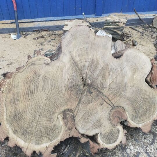 Поперечный срез акации, Слэб, столы, столешницы