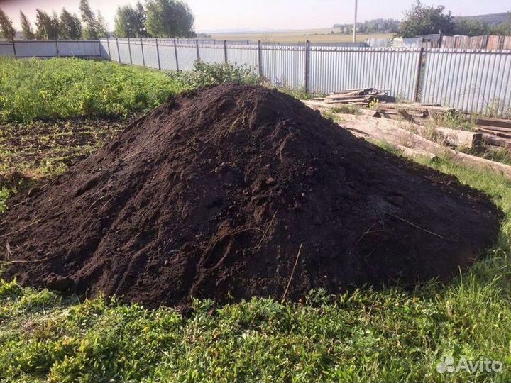 Чернозем
