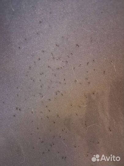 Лежак для кошки на окно на присосках