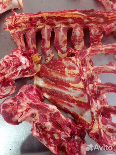 Кости говяжьи собакам