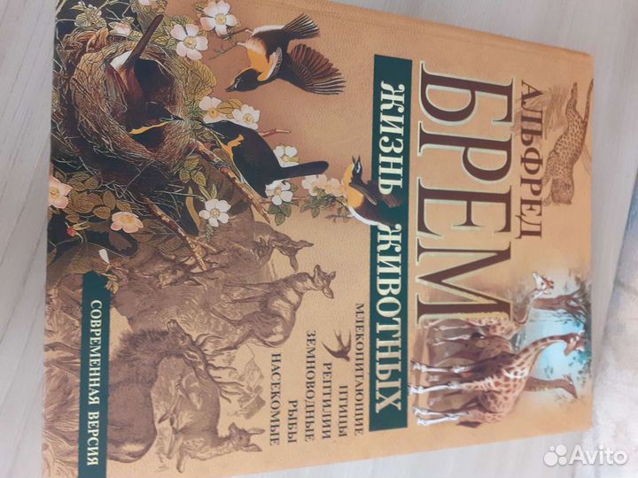 Энциклопедия