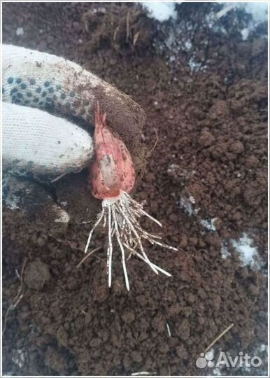 Поиск инвестора пассивный доход