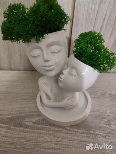 Кашпо со мхом