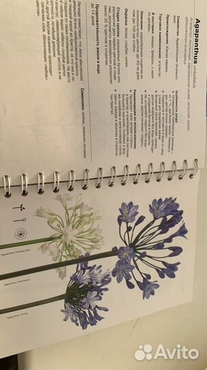 Цветы в срезке 2 тома(справочник флортста)