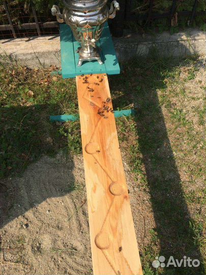 Поилка для пчёл