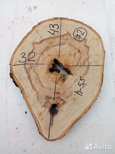 Спилы карагача сухие