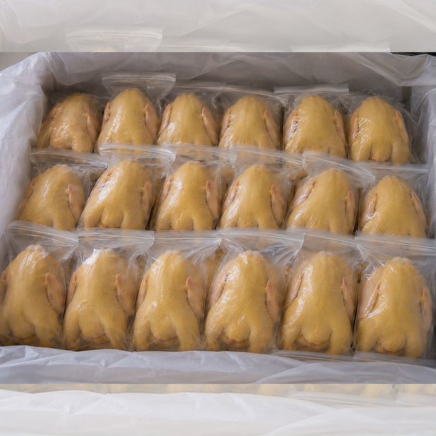 Курицы халяль