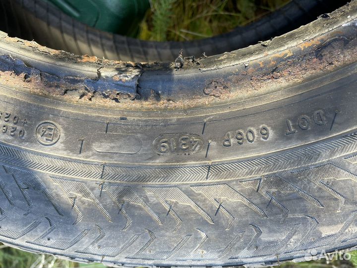 Nokian Tyres Hakkapeliitta 8 195/65 R15