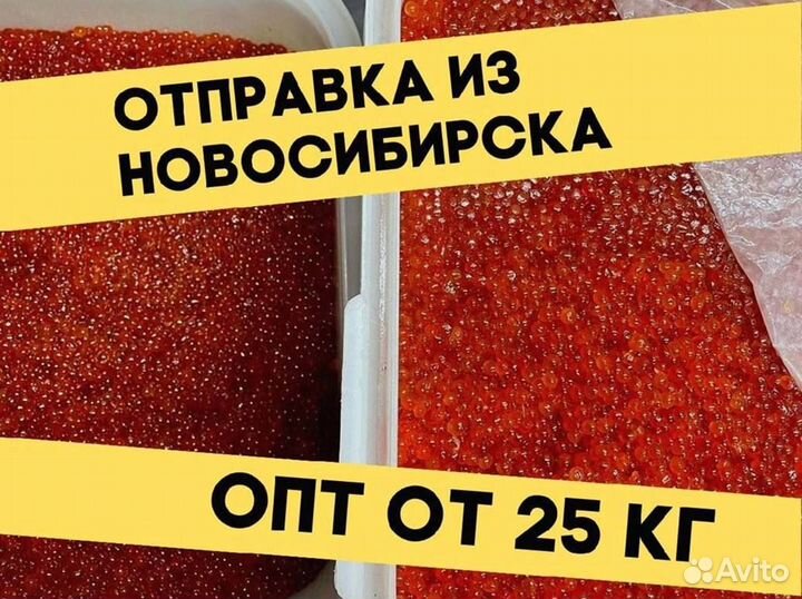 Икра кеты красная, улов 2023