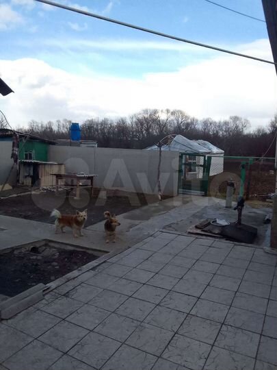 Дом 70 м² на участке 2,28 га