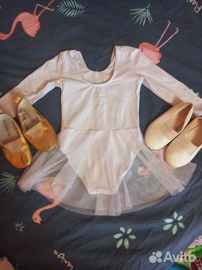 Купальник для гимнастики и чешки