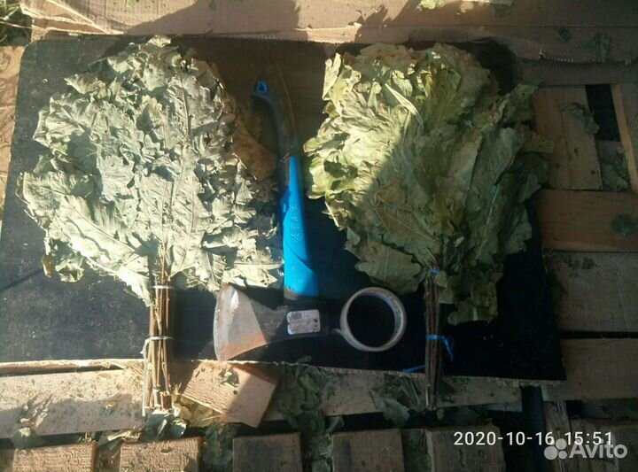 Дубовые веники для бани