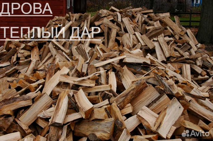 Дрова сухие