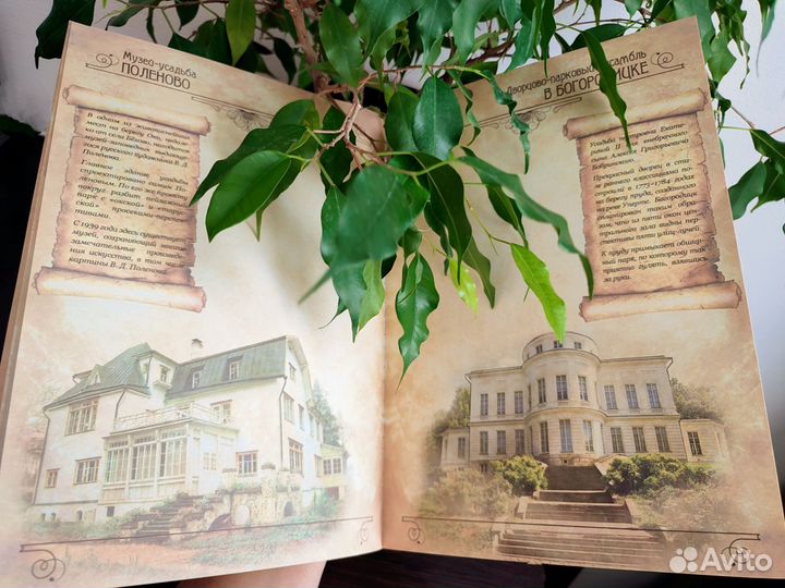 Альбом: Летопись семьи