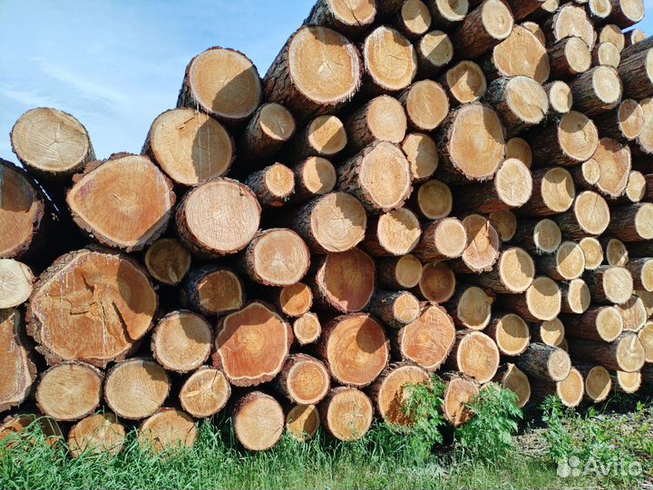Продам круглый лес