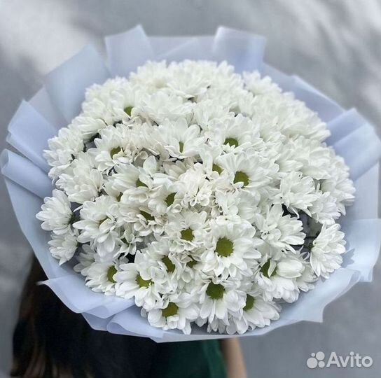 Хризантема Доставка цветов