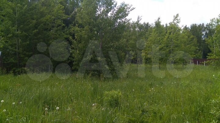 Участок 12 сот. (СНТ, ДНП)