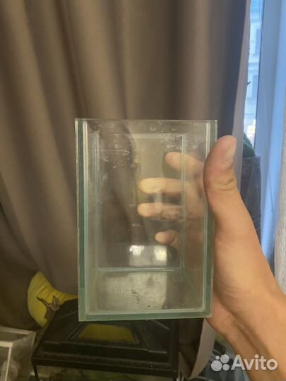 Аквариум для петушка