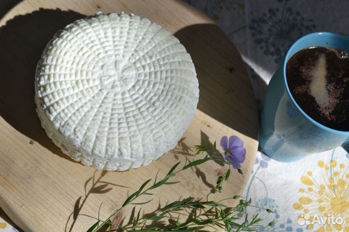 Козье молоко. Сыр из козьего молока