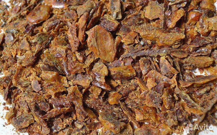 Прополис оптом