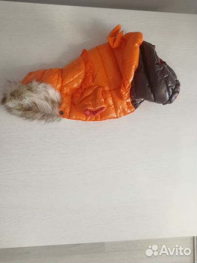 Комбинезоны для маленькой собаки