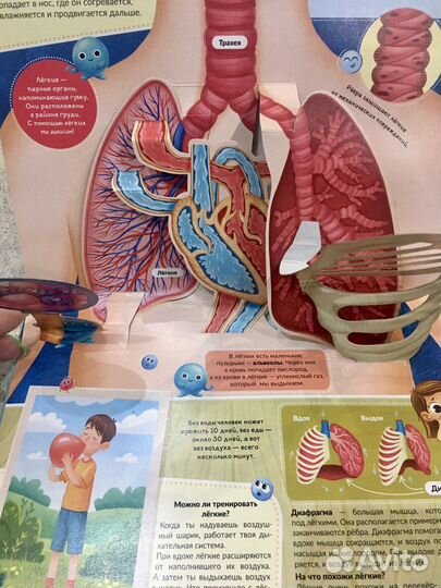 Книжка - панорамка