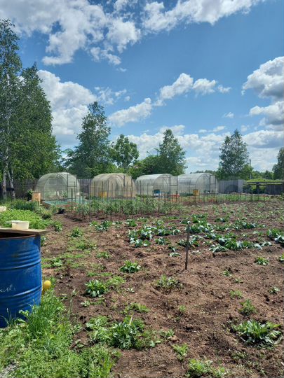 Дом 130 м² на участке 20 сот.