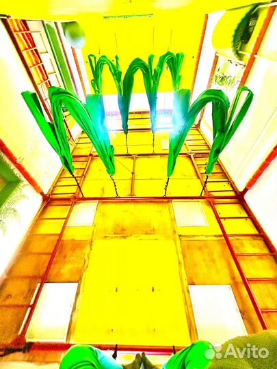 Инструктор fly yoga