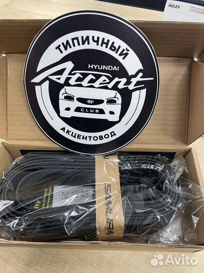 Губа Самурай Акцент