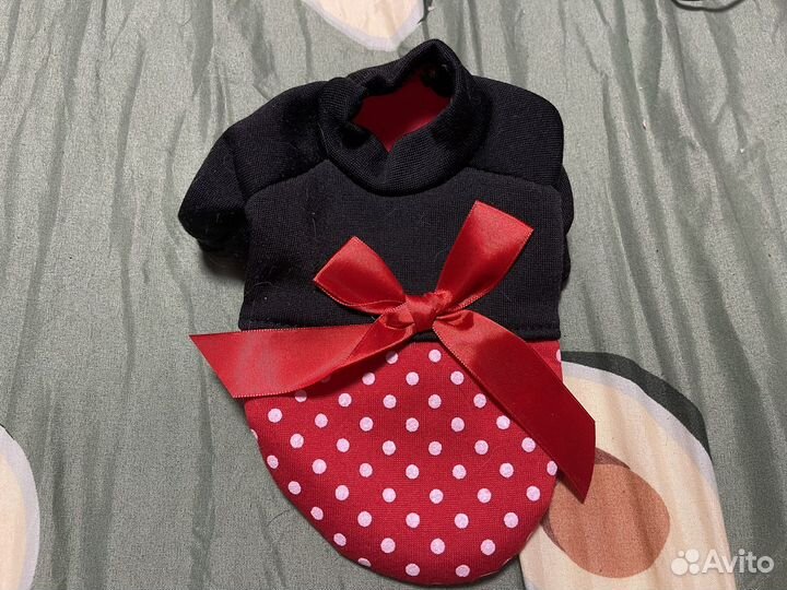 Одежда для собак