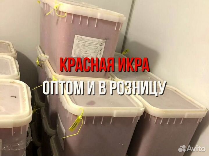 Красная икра опт