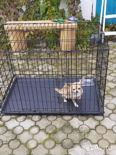 Клетка любого размера доставка в Керчь