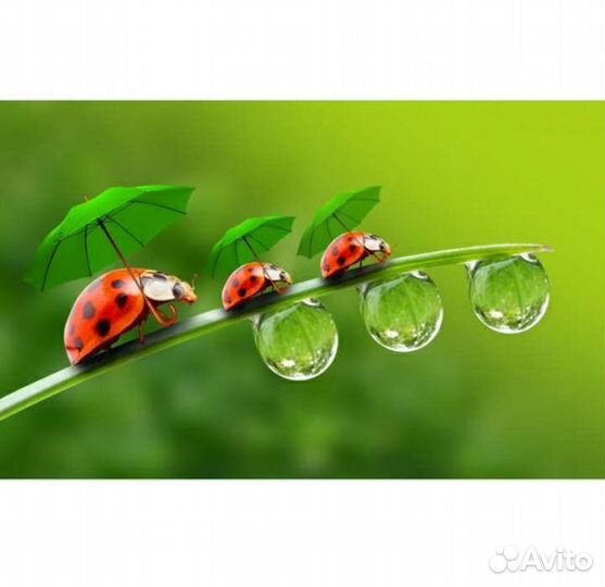 Наклейка на кафельную плитку