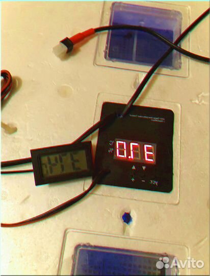 Инкубатор для яиц