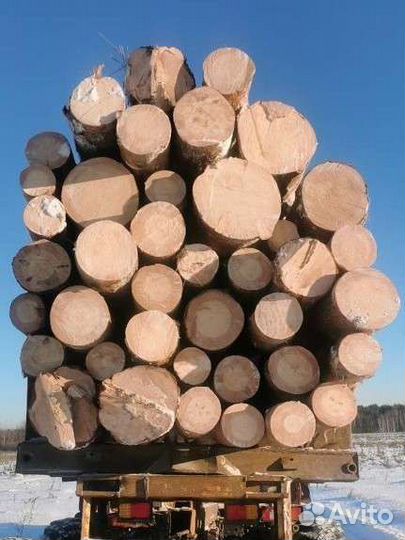 Маз сортиментовоз (урал-лесовоз)